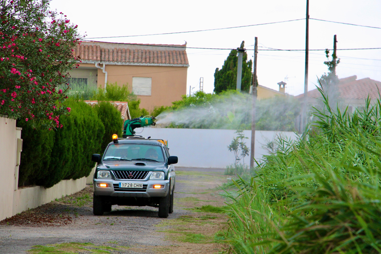 Castellón intensifica el plan de choque contra las plagas de mosquitos reforzando las actuaciones en el Grao